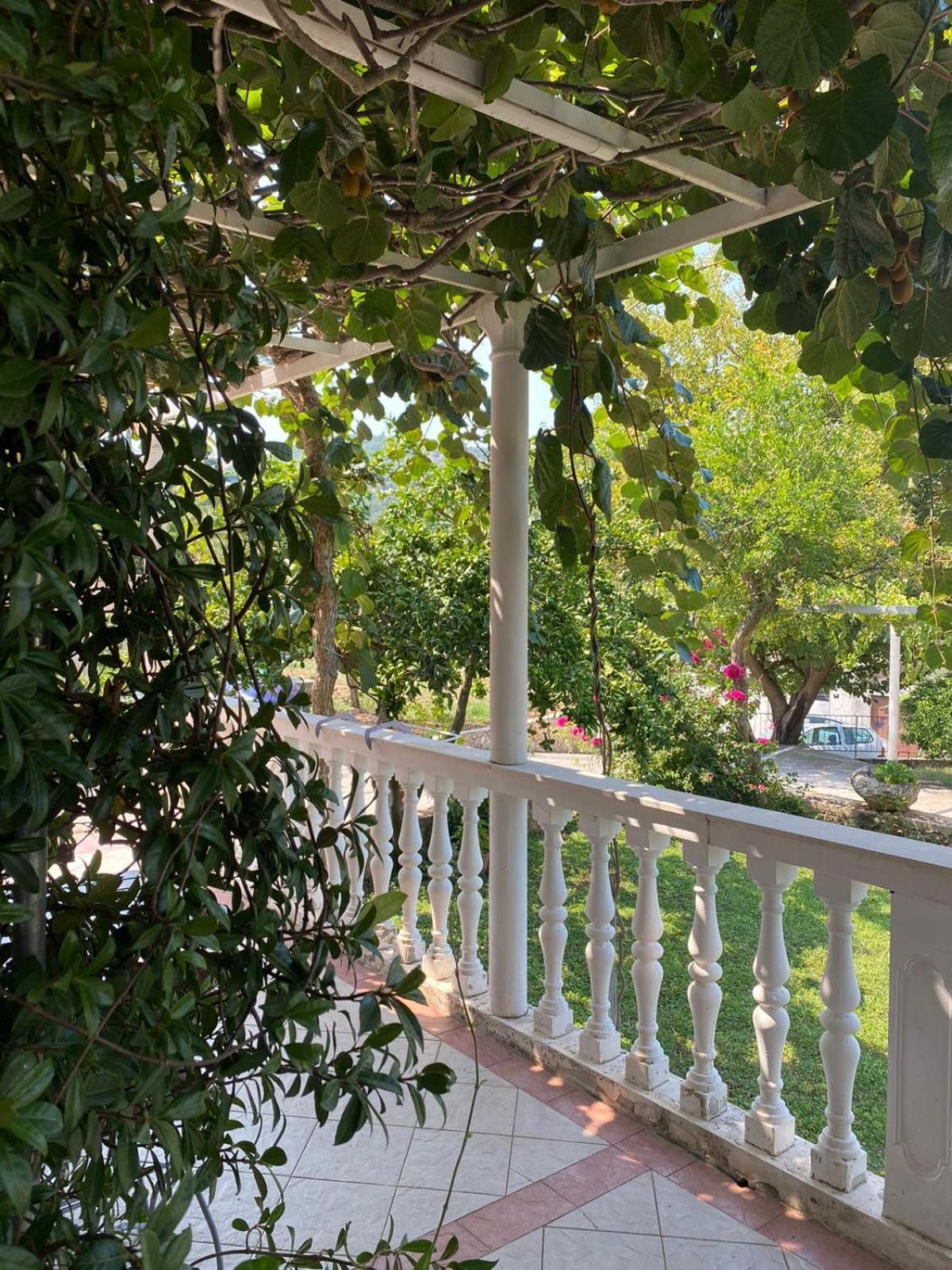 Guesthouse Oliva Cavtat Extérieur photo